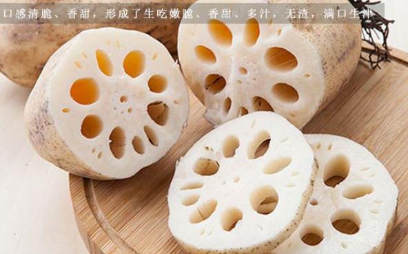 冬天要多吃哪些蔬菜？適宜冬季吃的蔬菜及補血食物推薦