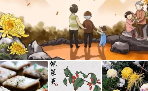 重陽節的民俗活動有哪些？重陽節吃什么傳統食物