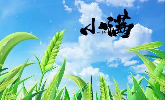 小滿之后為什么沒有大滿？小滿中的滿是什么意思
