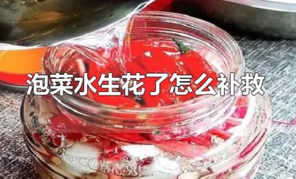 泡菜水生花了怎么補救？泡菜太酸了怎么解決