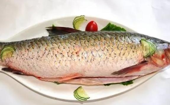 怎么挑選新鮮的草魚？草魚哪些部位不能吃