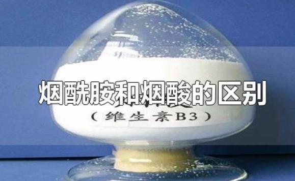 煙酰胺和煙酸的區別是什么？果酸和煙酰胺能一起用嗎
