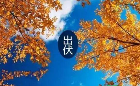 出伏是哪天？出伏吃什么水果好