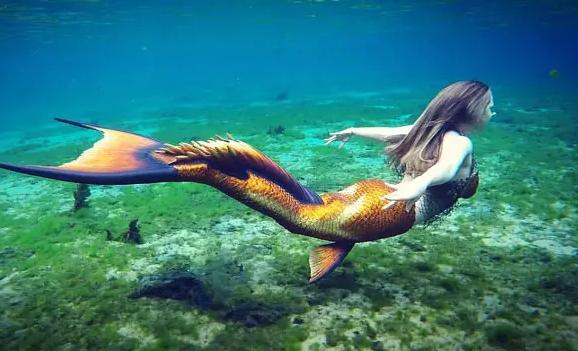 世界上有美人魚嗎？美人魚是什么動物