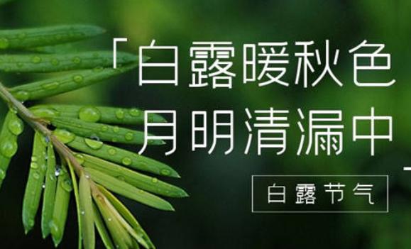 白露節氣特點是什么？白露的習俗都有什么