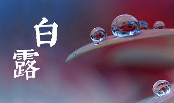 白露是什么季節？白露三候是什么