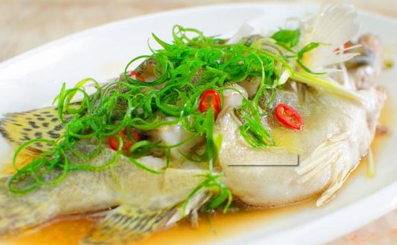 石斑魚鱸魚和桂花魚哪個有營養？桂花魚要蒸多久才熟
