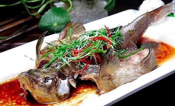 為什么桂花魚要叫桂花？桂花魚有牙嗎