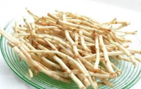 魚腥草什么季節有？魚腥草是熱性還是涼性