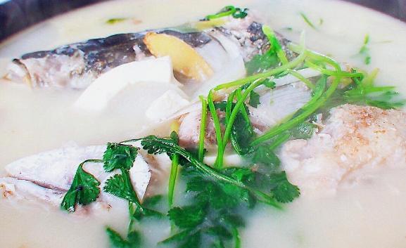 鳙魚頭湯的好處與作用有什么？鰱魚頭湯怎么做好喝